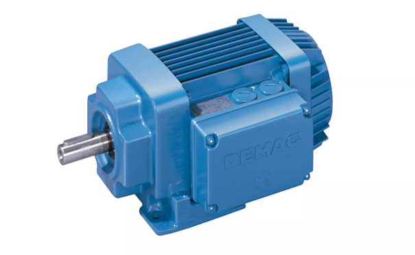 德马格驱动电机 圆柱转子电机